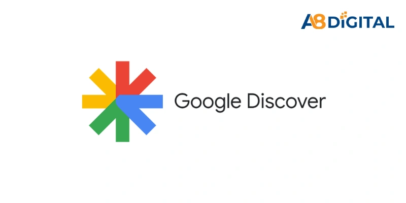 google-discover